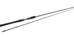 Westin W3 HybridCast-T 3rd Generation Baitcasthengel 2.21m (50-120g)