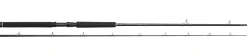 Westin W2 Predator Trolling Hengel 2.55m (60-180g)