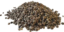 Zammataro Hennep (800g)